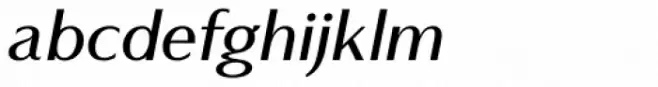 Vanitas Black Italic