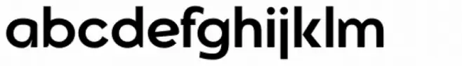 Vanquish Bold