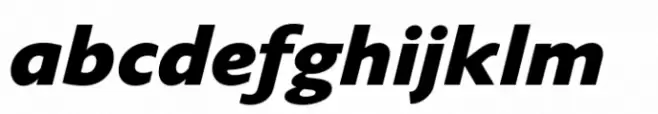 Varisse Sans Heavy Italic