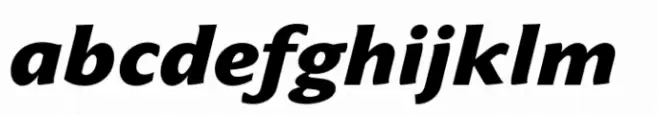 Varisse Soft Sans Heavy Italic