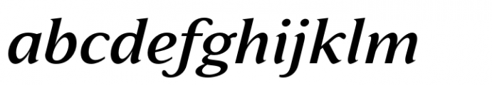 Varisse Soft Serif Medium Italic