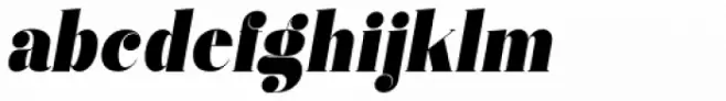 Vectory  Black Italic