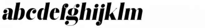 Vectory  Bold Italic