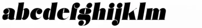 Vectory  Extra Black Italic