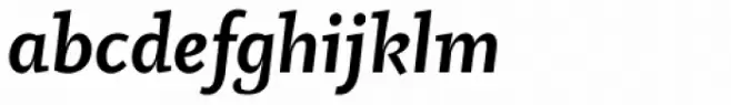 Vekta Neo Bold Italic