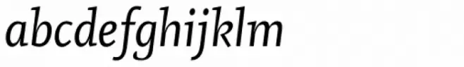 Vekta Neo Book Italic
