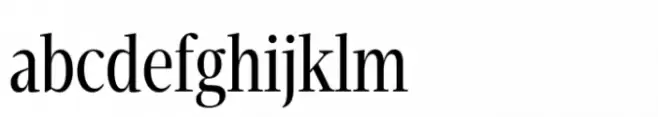 Velino Compressed Headline Book