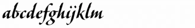 Veljovic Script Pro Cyrillic Bold