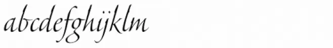 Veljovic Script Pro Cyrillic Light
