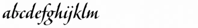 Veljovic Script Pro Medium