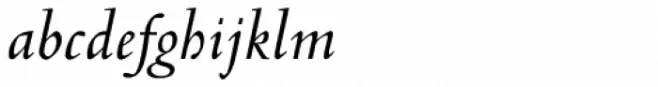 Venetian 301 Demi Italic