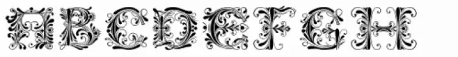 Venice Initials