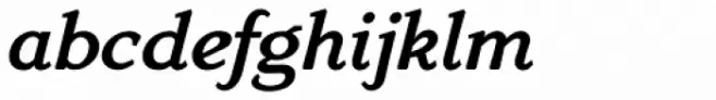 Venis Bold Italic