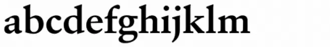 Verdigris MVB Pro Text Bold