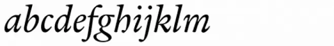 Verdigris MVB Pro Text Italic