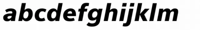 Vernacular Sans Black Italic