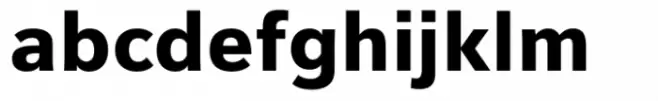 Vernacular Sans Black