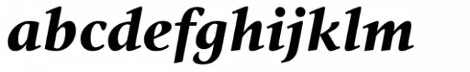 Vernacular Serif Black Italic