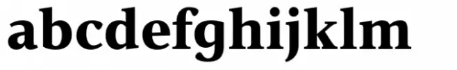 Vernacular Serif Black