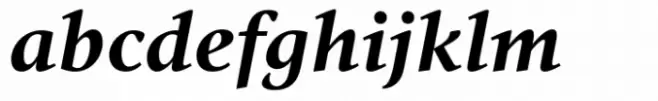 Vernacular Serif Bold Italic