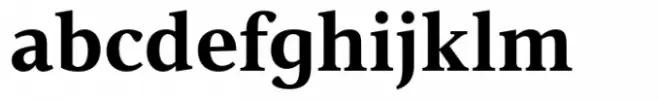 Vernacular Serif Bold