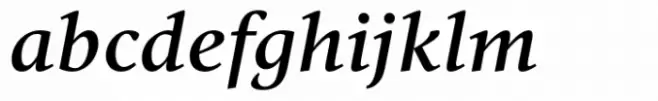 Vernacular Serif Medium Italic