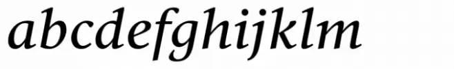 Vernacular Serif Roman Italic