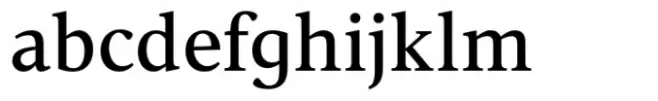 Vernacular Serif Roman