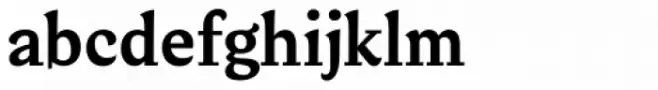 Verse Serif Bold