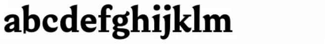 Verse Serif Heavy