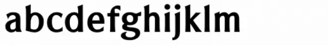Vershen Bold