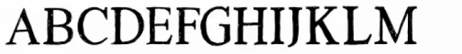 Versica Serif