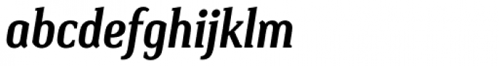 Vertebrata Bold Italic
