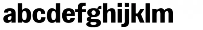 VG Sans Bold