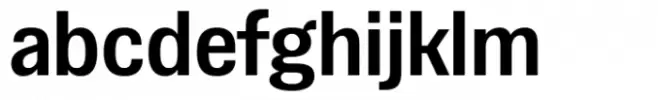 VG Sans Medium