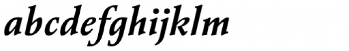 Vianova Serif Pro Bold Italic