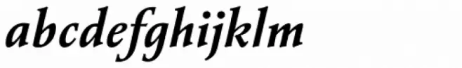 Vianova Serif Pro Bold Italic