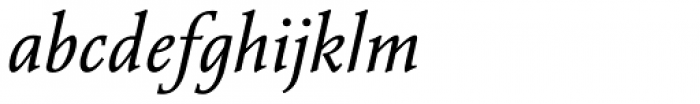 Vianova Serif Pro Italic