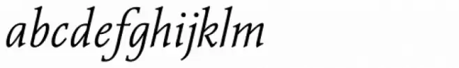 Vianova Serif Pro Light Italic