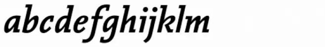 Vianova Slab Pro Bold Italic