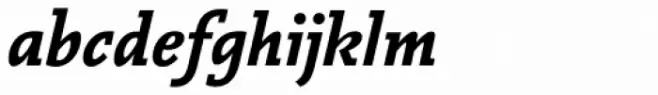 Vianova Slab Pro ExtraBold Italic