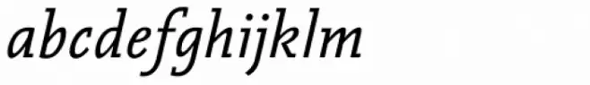 Vianova Slab Pro Italic