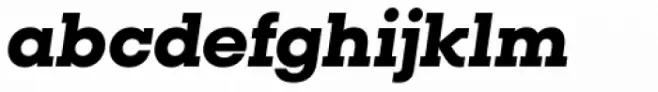 Vicky Black Italic