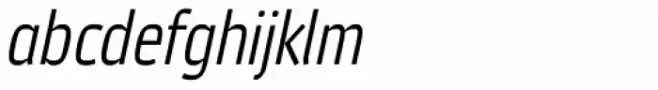 Vida 21 Pro Italic