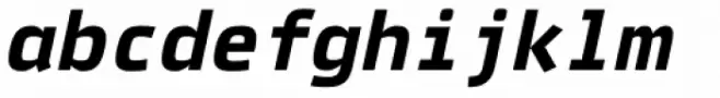 Vida Mono 32 Pro Bold Italic