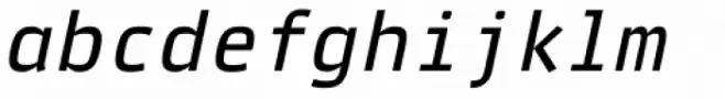 Vida Mono 32 Pro Italic