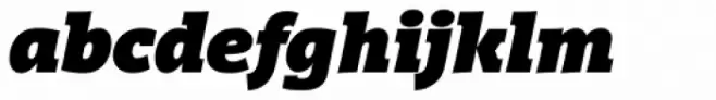 Vigor DT Black Italic 1000