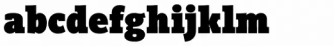 Vigor DT Condensed Black 1000
