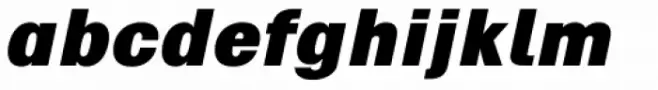Vikive Black Italic