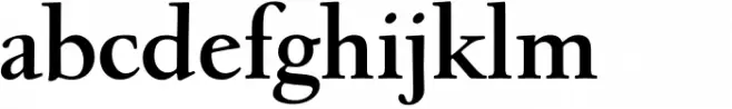 Village Std Bold